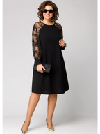 Classic Dress with Lace Sleeves